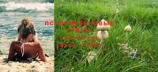 кокаин перу Дмитриев