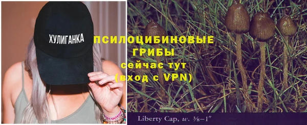 первитин Дмитровск