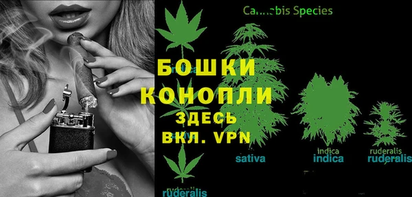кокаин перу Дмитриев