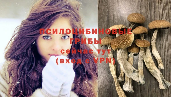 кокаин перу Дмитриев